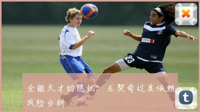 全能天才的隐忧：东契奇过度依赖风险分析