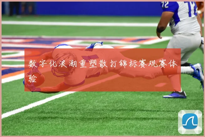 数字化浪潮重塑散打锦标赛观赛体验