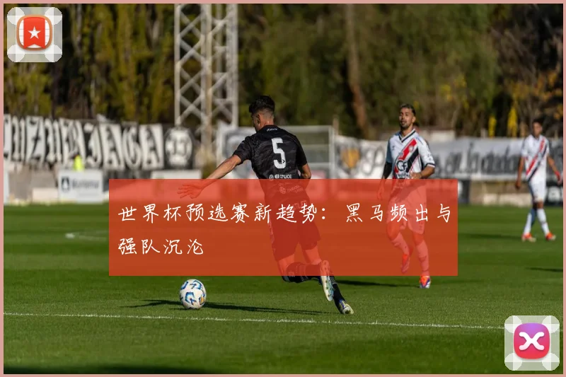世界杯预选赛新趋势：黑马频出与强队沉沦