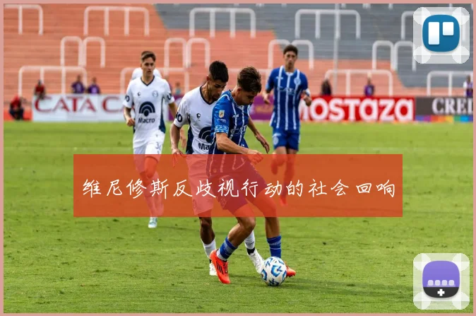 维尼修斯反歧视行动的社会回响